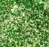 626px-Crops_Kansas_AST_20010624.jpg