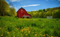 summer-countryside-pennsylvania.jpg