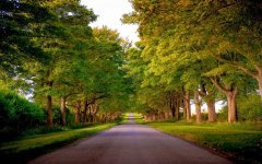norfolk-kings-avenue-sandringham-engalnd.jpg