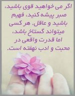 image-beautiful-sentence-life5.jpg
