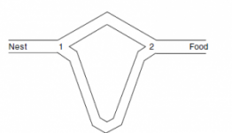 unnamed-file-300x172.png