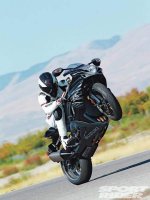 suzuki.jpg