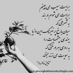 nue3_img_20150606_082508.jpg