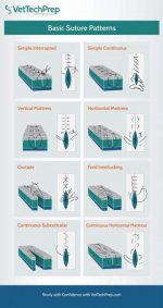 basic suture patterns.jpg