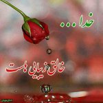 IMG_20161010_223149.jpg