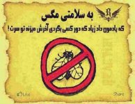 p7vuhsifz6xby4zk632u.jpg