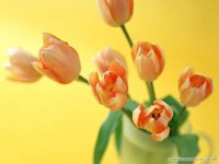 1_4854427_flower11.jpg