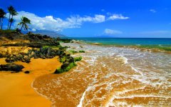 beach-maui.jpg