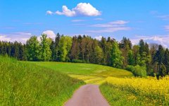 summer-green-landscape.jpg