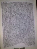 080420141246.jpg
