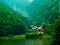 nature_24.jpg