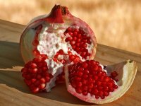 pomegranate.jpg