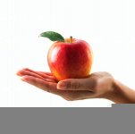 phoca_thumb_l_food-nagsh 6.jpg