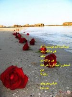 عباس (4).jpg