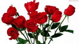 3f41-red-roses-wallpaper (1).jpg