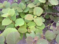 201404271013.jpg