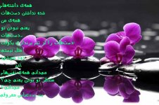 دستانمان (21).jpg