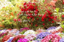 دستانمان (22).jpg