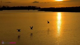 sunset(11).jpg