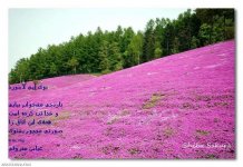 عباس معروفی (28).jpg
