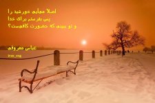 عباس معروفی (27).jpg