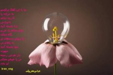 عباس معروفی (20).jpg