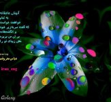 عباس معروفی (8).jpg