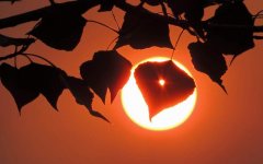 sunrise-sun-silhouette.jpg