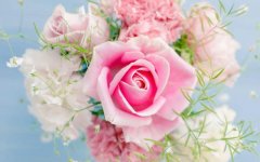 pink-rose-bouquet.jpg