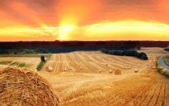 summer-field-hay-sunset.jpg