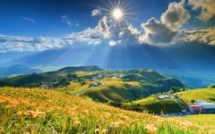 mountains-flowers-lilies-summer.jpg