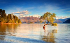 lake-wanaka-new-zealand.jpg