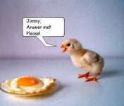 ijx3g83a6it4ticg03jd.jpg