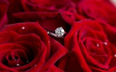 diamond-ring-red-roses.jpg