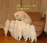 hgj9o7278550limy5kyl.jpg