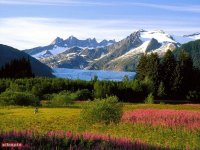Alaska_Nature(1).jpg