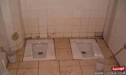 Loosia_06b069.jpg