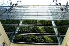 iyg yuvf 8tgvb.jpg iyg yuvf 8tgvb.jpg