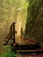 Summer Shower, Kamacnik Canyon, Croatia..jpg