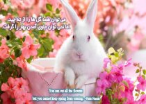 gift_of_the_day_732e_m.jpg