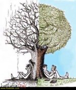 Caricator-radsms-39 (1).jpg