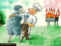 Caricator-radsms-29.jpg