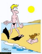 Caricator-radsms-22.jpg
