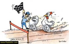 Caricator-radsms-18.jpg