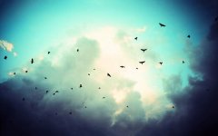 crows-sky.jpg