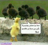 funny-jokes-3pide-1.jpg
