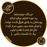 1498177871-parsnaz-ir.jpg
