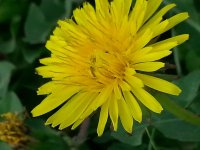 20140620_085850.jpg