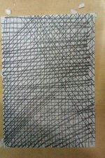IMAG0614.jpg
