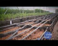 IRIB TV3[21MAY2007-211558][(005310)11-22-52].JPG